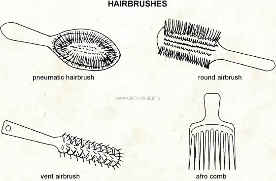Hairbrushes  (Visual Dictionary)